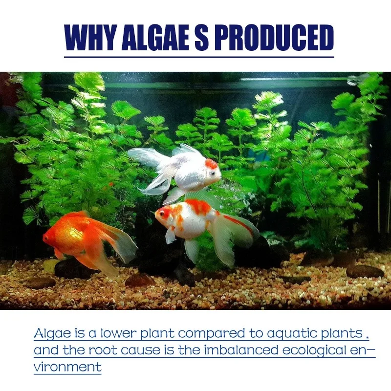 50g High Efficiency Algaecide  - Water Soluble Stabilizer recensione e prezzo