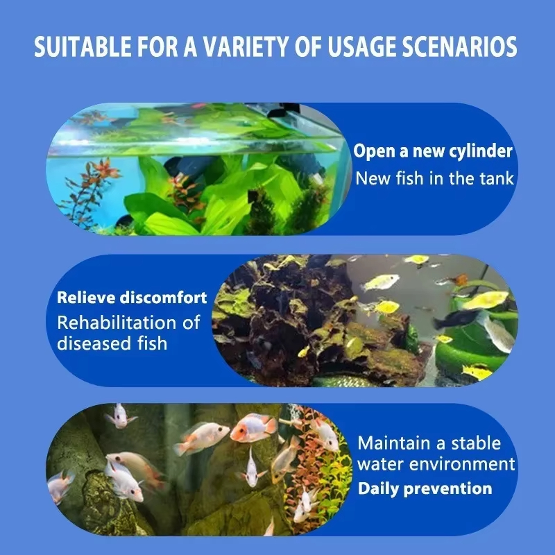 SIKEZHAN Fish Disease Treatmen - Water Soluble Stabilizer recensione e prezzo