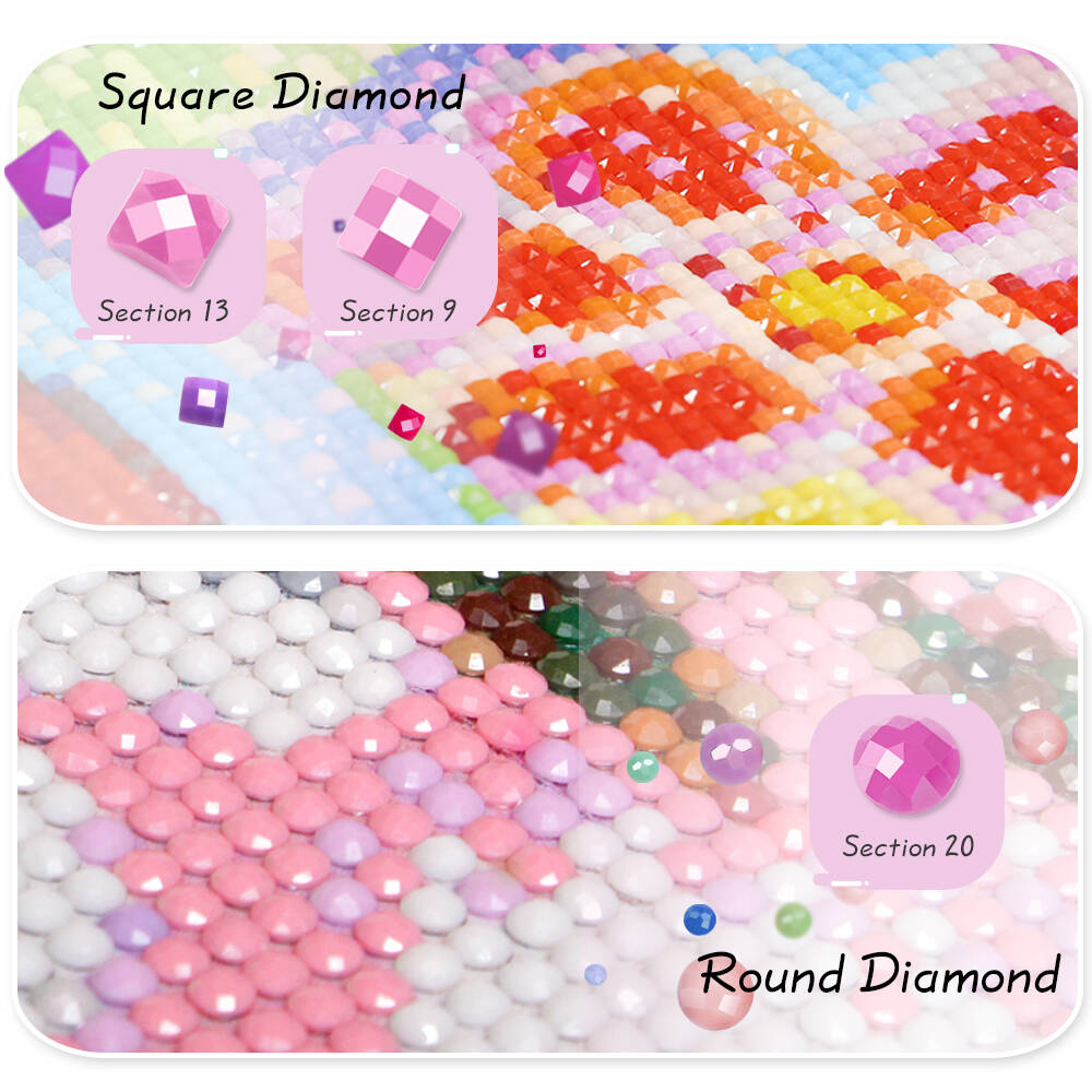 Full Square Round Diamond Pain - Embroidery Rose recensione e prezzo